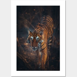 Bengal Tiger Hunting Posters and Art